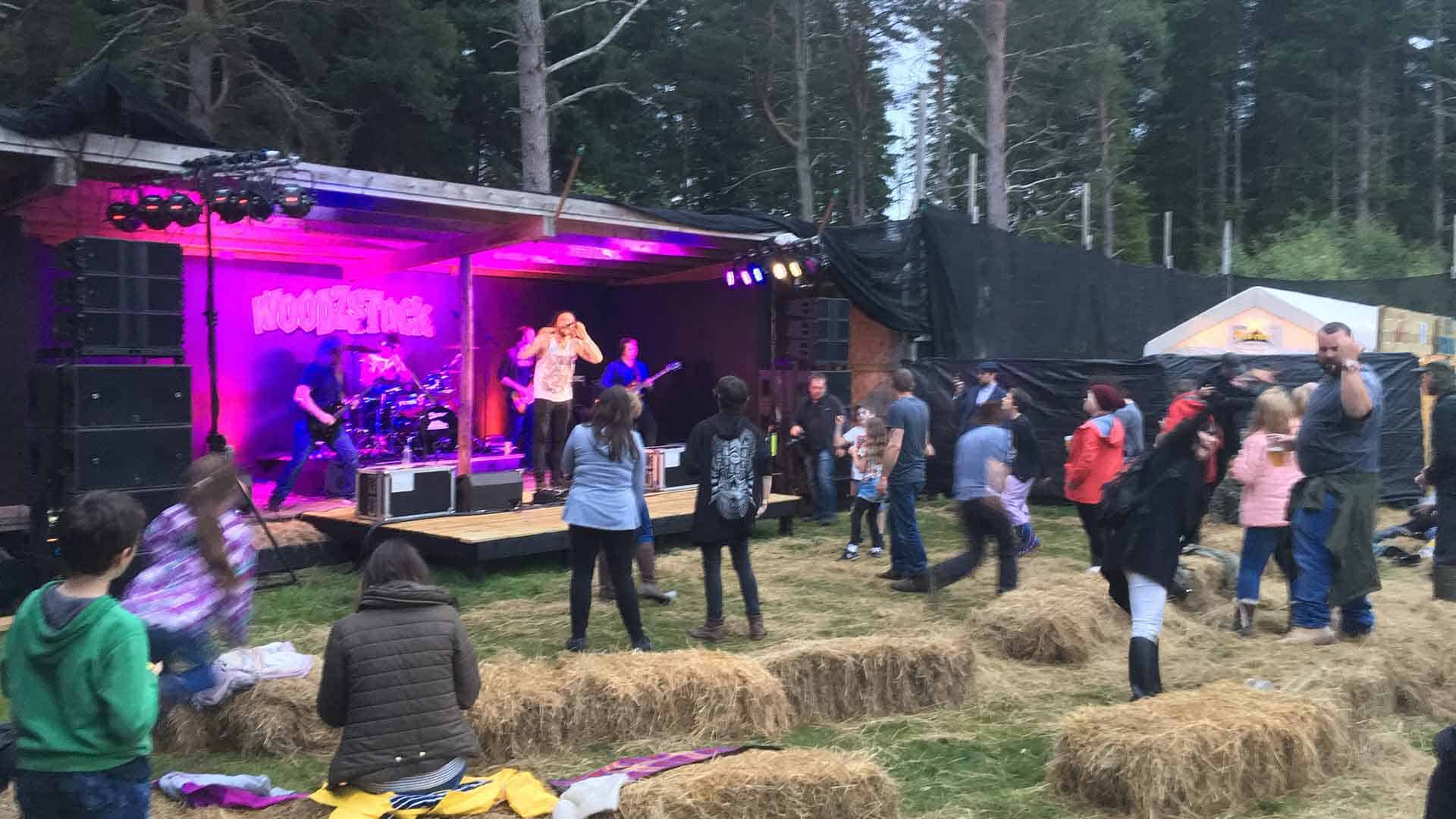 ww woodzstock 1
